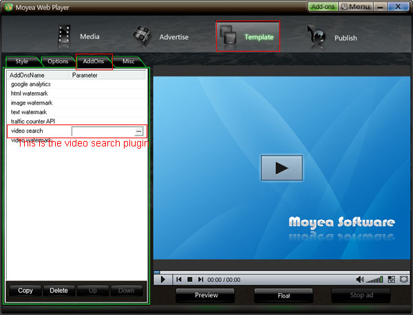 video search plugin in PlayerDIY web player